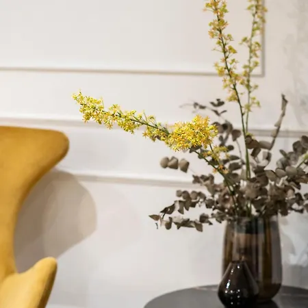 Blanq Comedias 瓦伦西亚